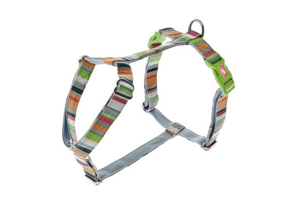 PETTORINA REG.COLOR 15MMX45-60CM RAINBOW