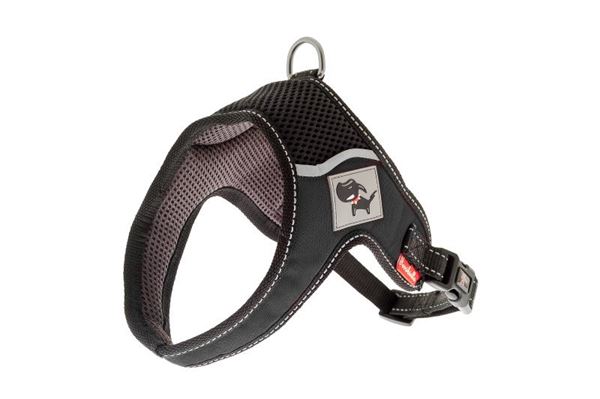 PETTORINA REG. EVEREST XL(80-105CM)/52CM