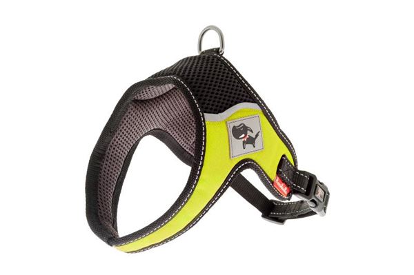 PETTORINA REG. EVEREST XL(80-105CM)/52CM