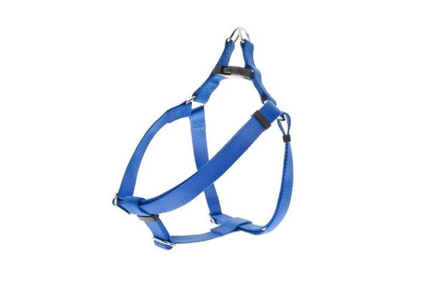 PETT.REG.SPEEDY IN NYLON 15MM S BLU COLL